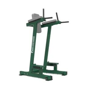 BFS - D1 VERTICAL KNEE RAISE/DIP BENCH